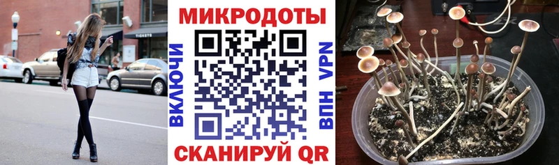 Псилоцибиновые грибы мицелий  Купить закладки  Пласт 